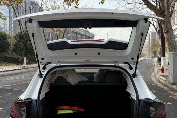 Used ARCFOX T1 2025 Model 425 PRO