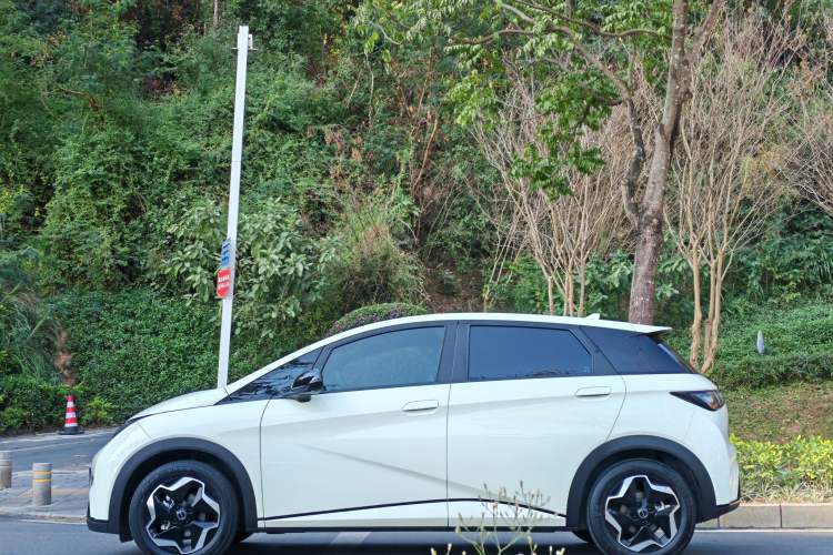 Used BYD Dolphin 2021 405 km Fashion Edition
