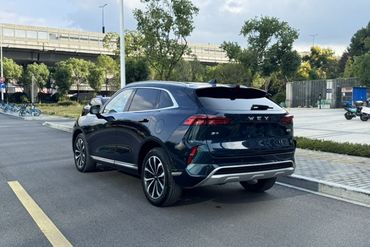 Used Wey Mocha 2021 2.0T Four-Wheel Drive Premium Edition