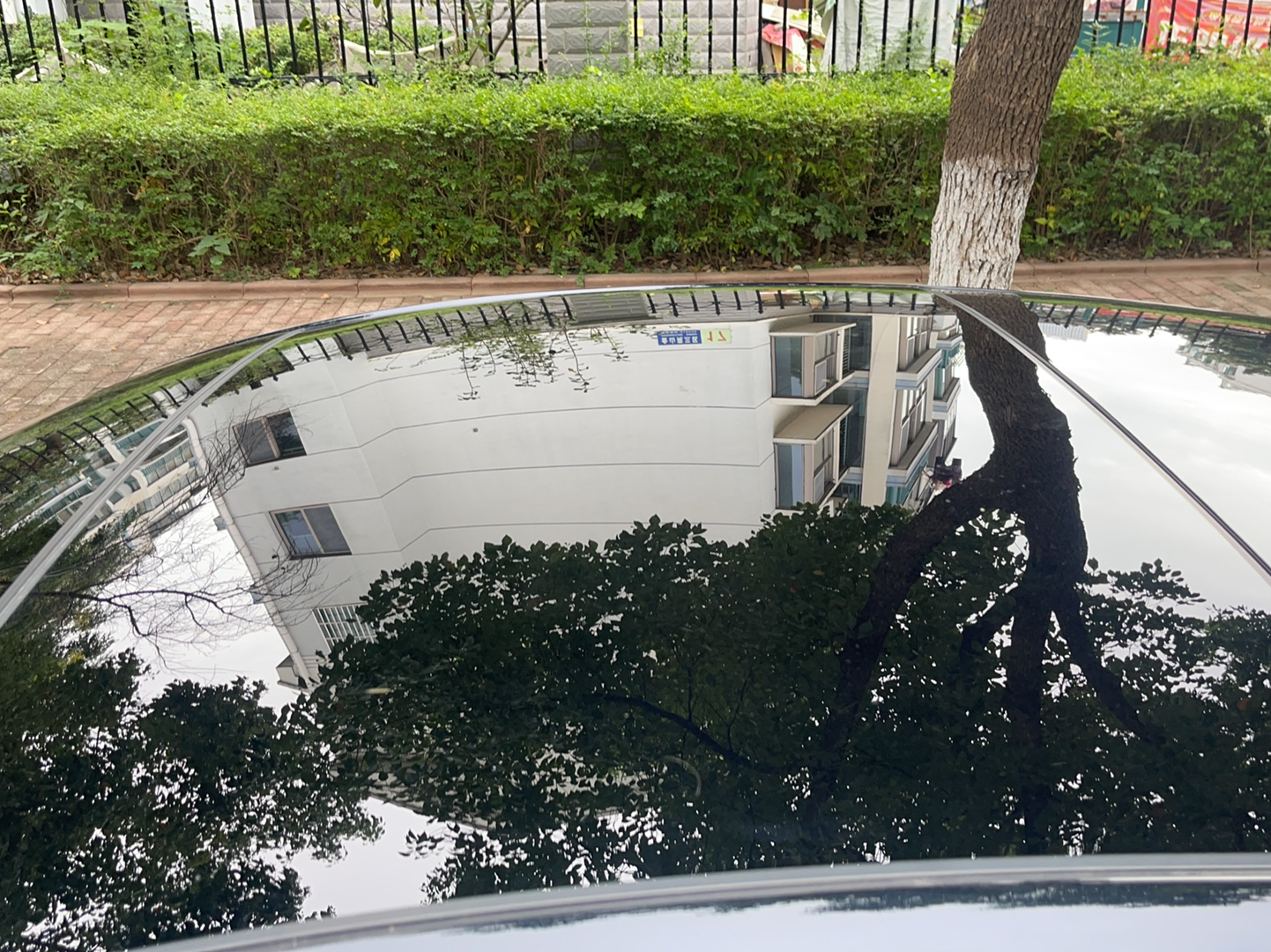 Hongqi H6 2024 2.0T ZhiMei Edition — снимка 7