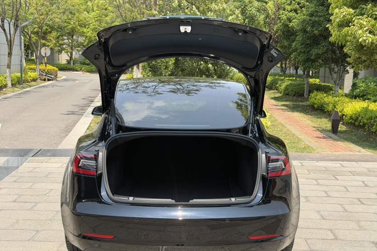 Used Tesla Model 3 2021 Standard Range Rear-Drive Upgraded Version Exterior 7