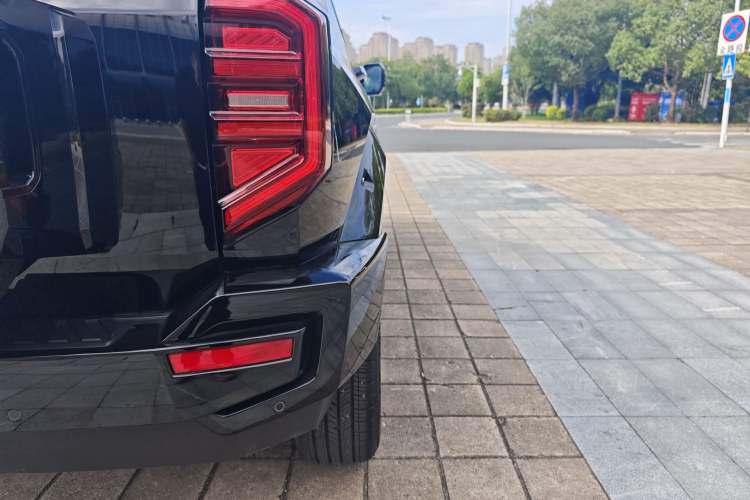 Used Tank 400 2025 2.0T Gasoline Version
