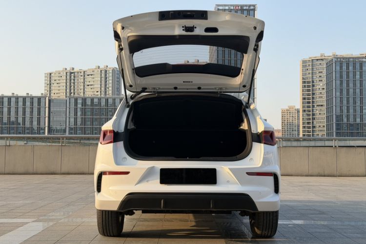 Used BYD e2 2019 Long-Range Version Yao·Luxury Trim