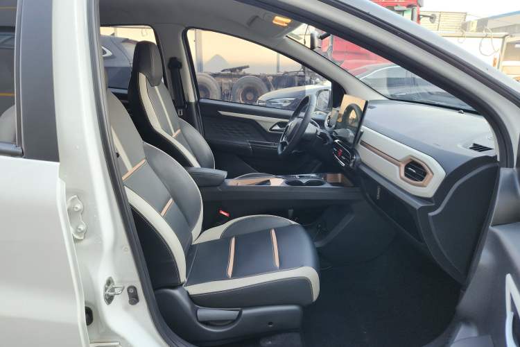 Used SOL E10X 2022 Flower Fairy Style Baby's Breath