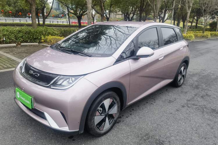 Used BYD Dolphin 2023 420 km Free Version