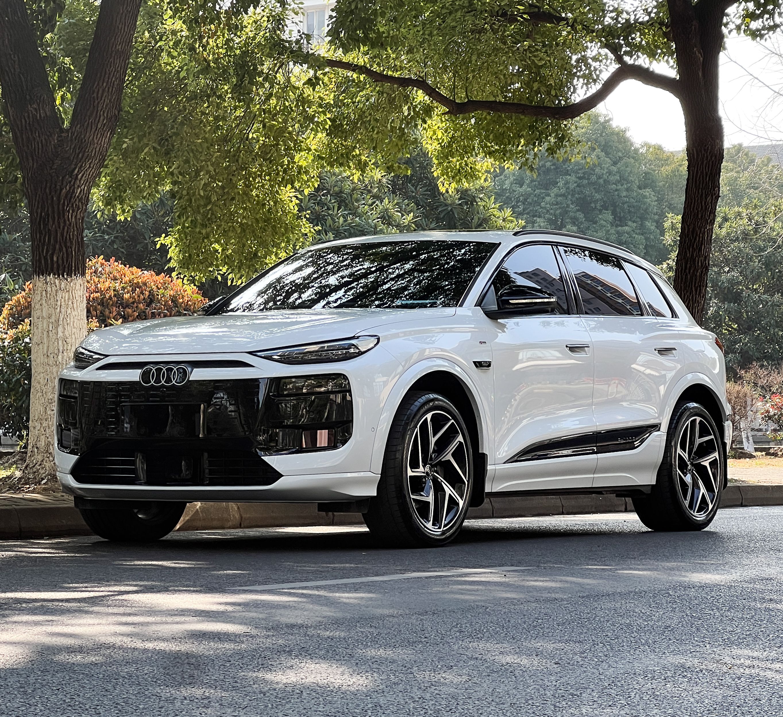 Parte inferior delantera