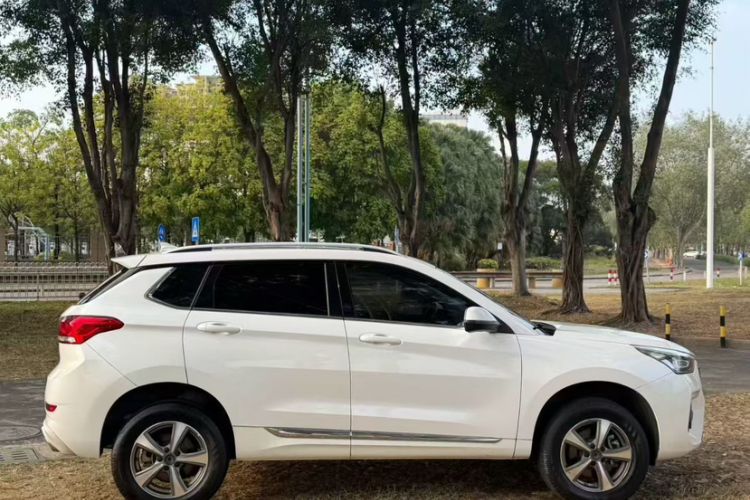 Used Haval H6 Coupe 2019 1.5T Automatic Two-Wheel Drive Elite Version China VI Standard
