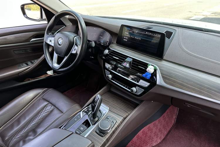 Used BMW 5 Series New Energy 2020 Mileage Upgrade Version 530Le Luxury Package Interior 4