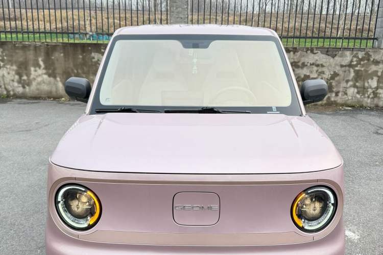 Used Geely Galaxy Panda 2023 Panda Mini 200km Endurance Bear