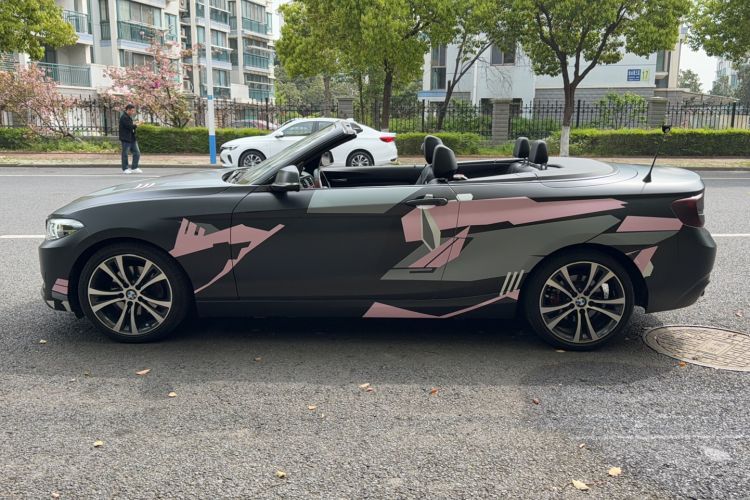 Used BMW 2 Series 2019 225i Convertible Coupe Sports Design Package Exterior 1