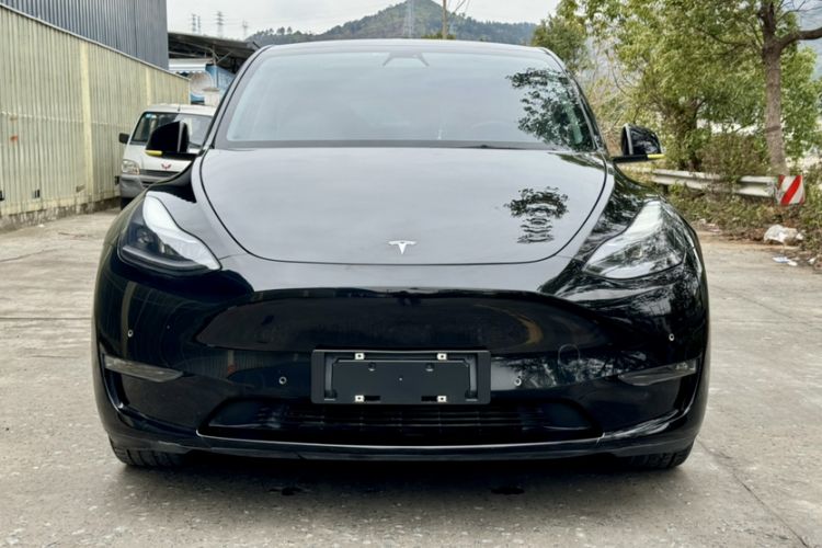 Used Tesla Model Y 2021 Standard Range Rear-Wheel Drive Version

