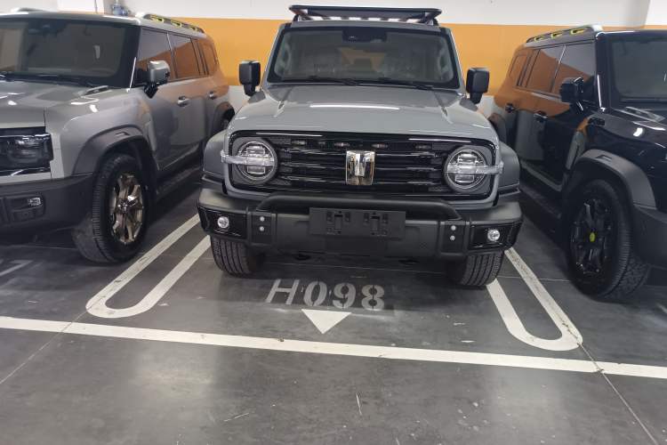 Used Tank 300 New Energy 2025 Hi4-T