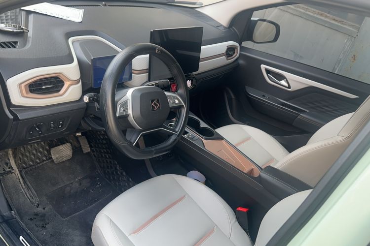 Used SOL E10X 2022 Flower Fairy Style Baby's Breath