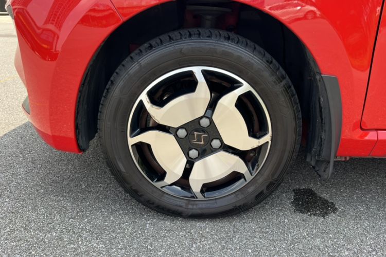 Used SOL E10X 2022 Flower Fairy Style Baby's Breath