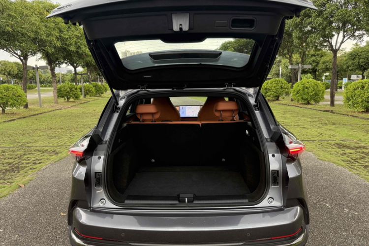 Used NETA X 2024 500 First Edition
