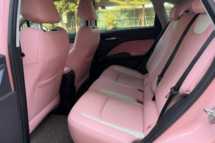 Used NETA V 2021 Witch Edition