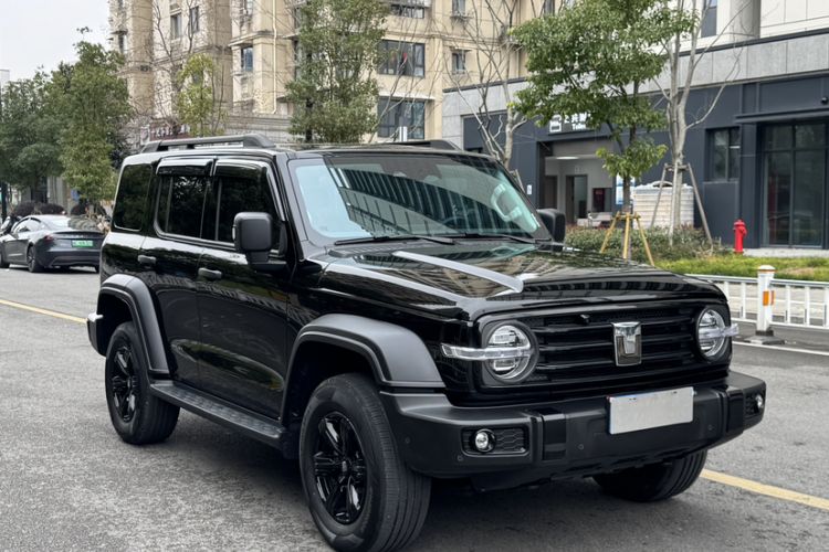 Used Tank 300 2025 2.4T Diesel Version