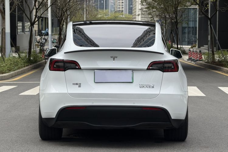 Used Tesla Model Y 2023 High-Performance All-Wheel-Drive Version