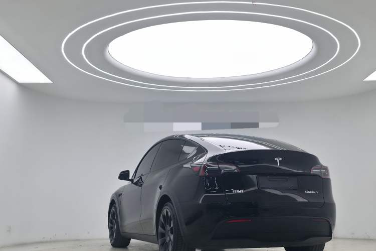 Used Tesla Model Y 2022 Long-Range All-Wheel-Drive Version Exterior 4