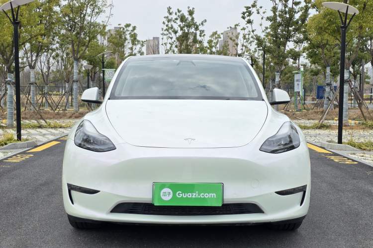 Used Tesla Model Y 2021 Long-Range All-Wheel-Drive Version
