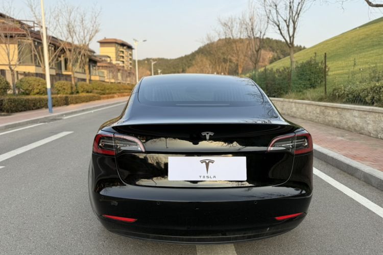 Used Tesla Model 3 2020 Standard Range Rear-Wheel Drive Upgraded Version