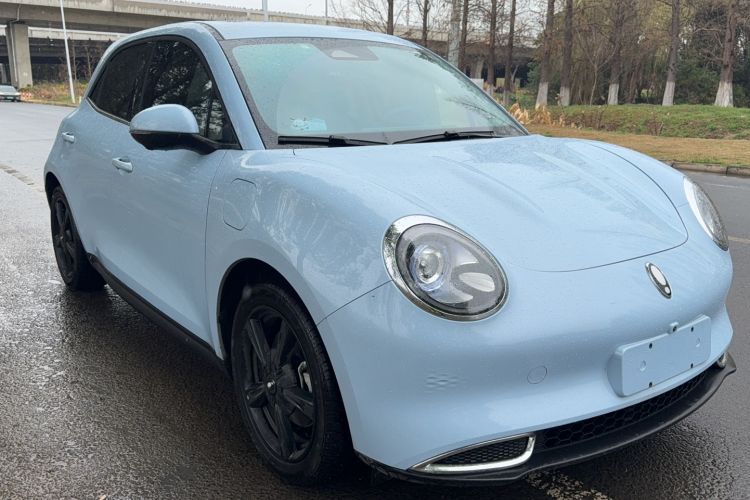 Used ORA Good Cat 2024 501 km Luxury Version