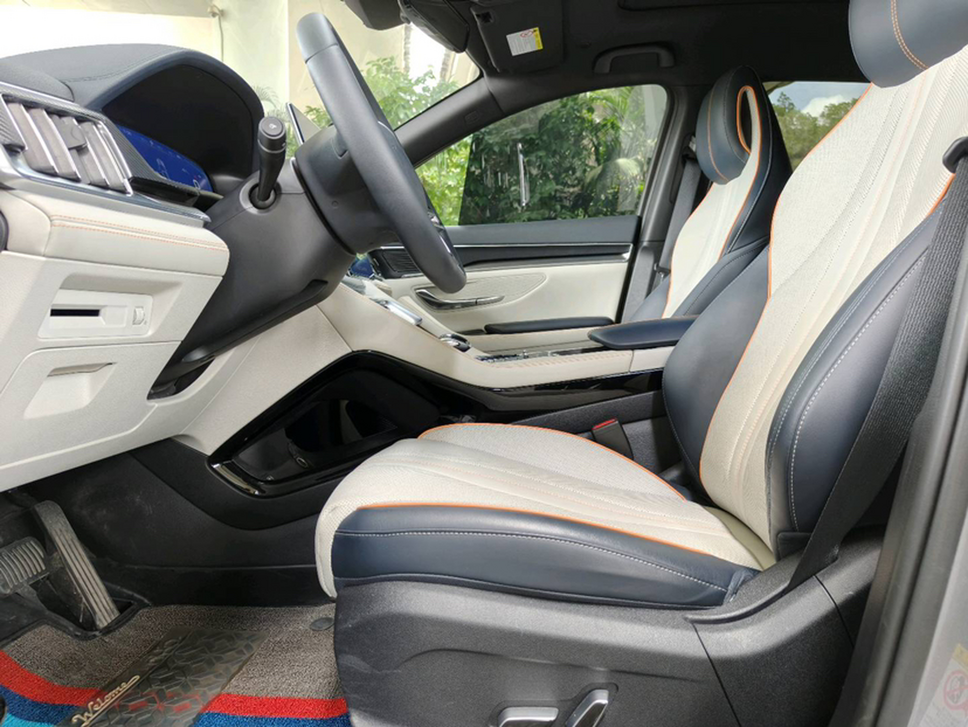 Interior delantero