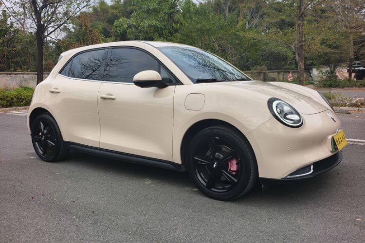 Used ORA Good Cat 2022 Morandi Edition 400km Standard Range Premium Version Lithium-Ion Battery