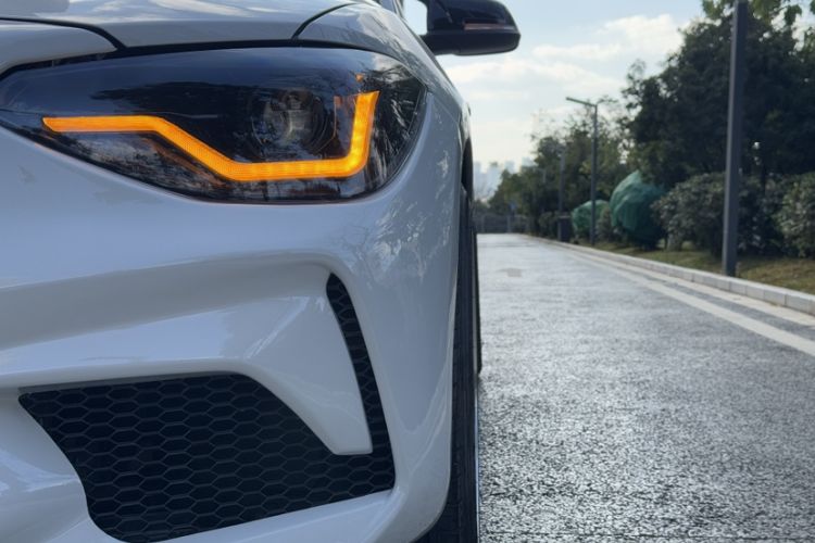 Used BMW 1 Series (Import) 2013 Revised 116i Leading Edition