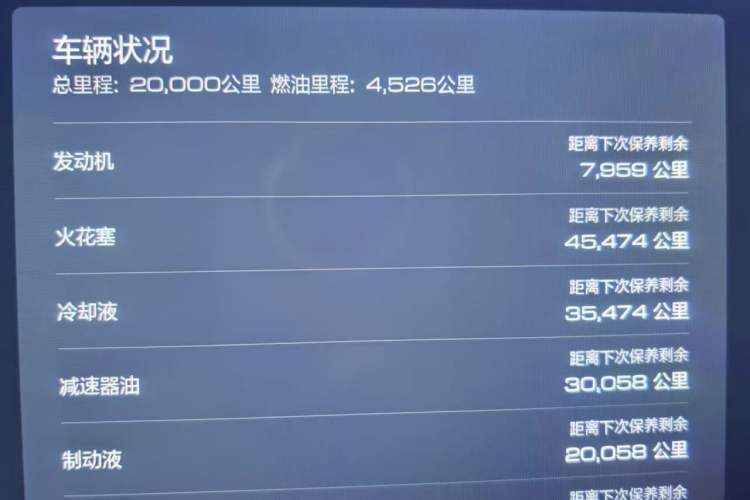 Used Tank 400 New Energy 2024 Hi4-T Off-Road Edition Odometer Close Up