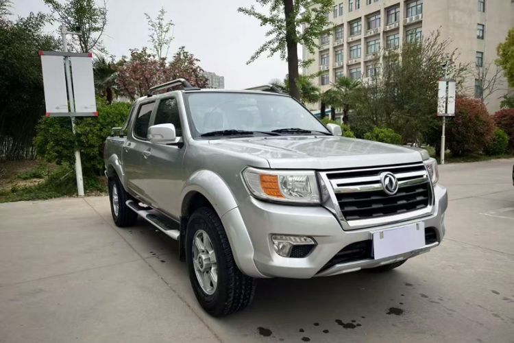 Used Dongfeng Ruichi 2019 2.4L Gasoline China VI Standard Two-Wheel Drive Luxury Regular Cab 2TZD