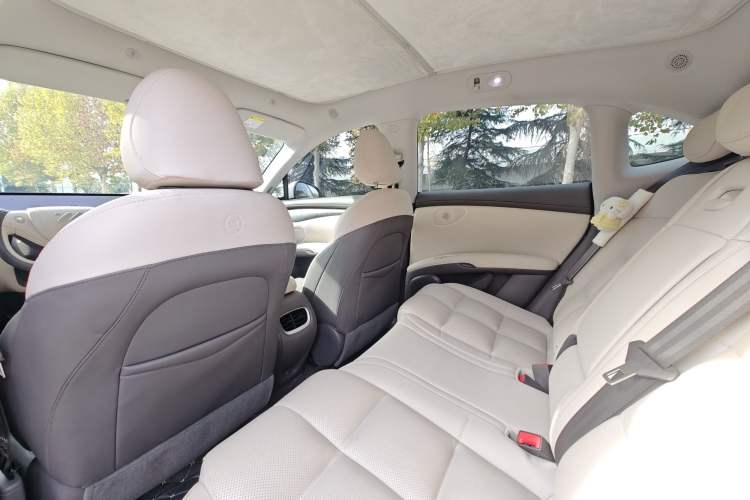 Used IM LS6 2023 Max Long-Range Version