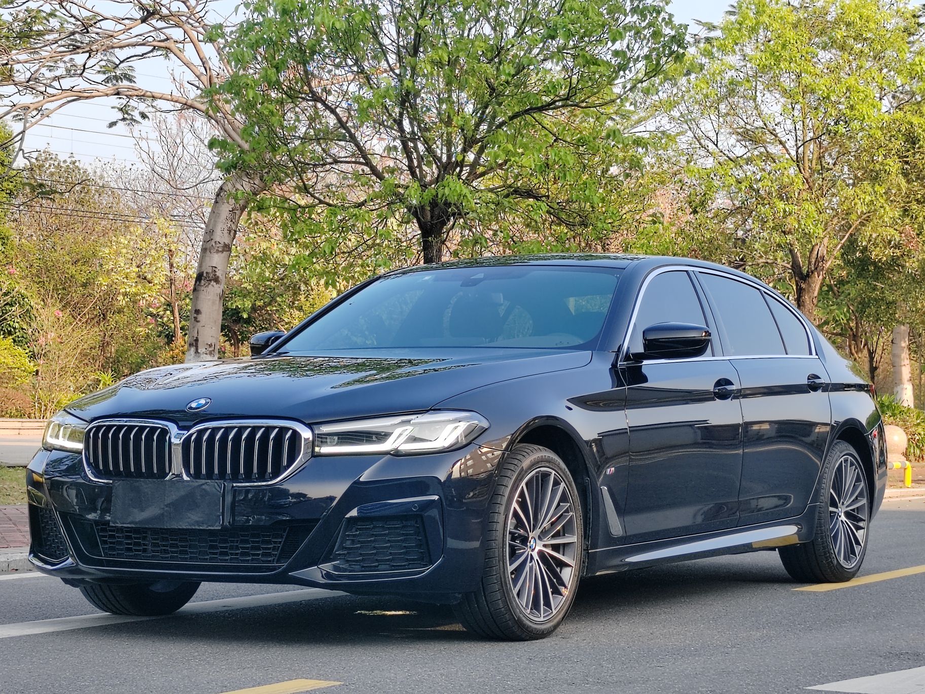 Parte inferior delantera