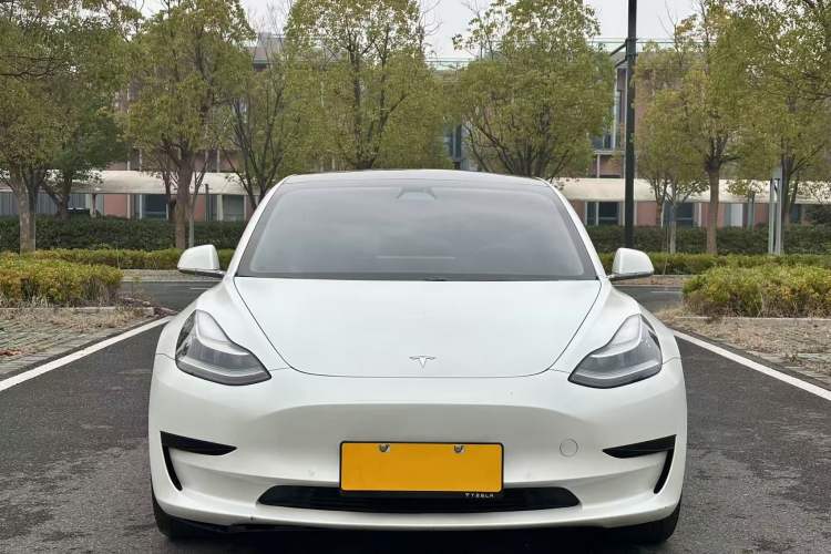 Used Tesla Model 3 2019 Standard Range Rear-Drive Upgraded Version