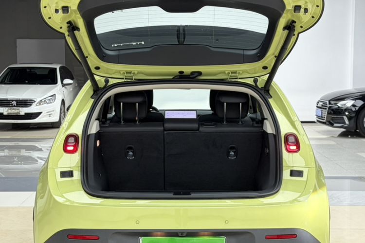 Used firefly 2025 Illuminated Edition
