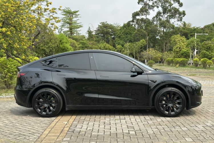 Used Tesla Model Y 2024 Rear-Wheel-Drive Version Exterior 2