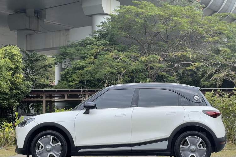 Used smart #1 2022 Pro+ Edition
