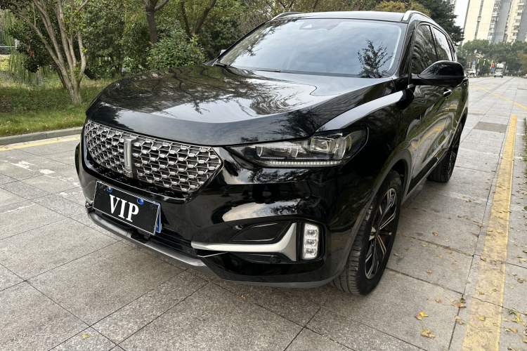 Used Wey VV6 2020 2.0T Two-Wheel Drive Smart Enjoyment+