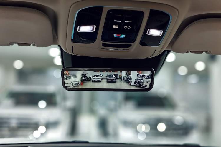 Used Tank 500 New Energy The 2025 Hi4-Z is definitely a hit.