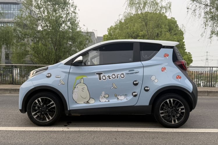 Used Chery QQ Little Ant 2023 251km True Love Edition Lithium Iron Phosphate Exterior 6