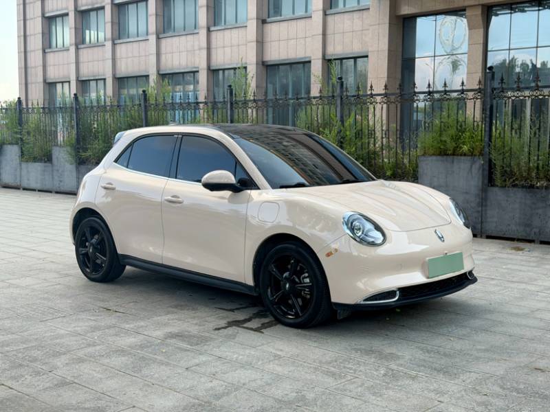 Used ORA Good Cat 2024 401 km Luxury Version — 30