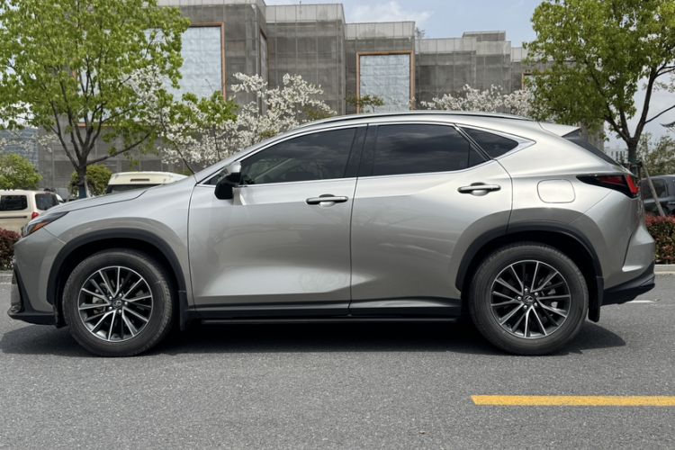 Used Lexus NX 2023 260 Front-Wheel Drive Chuan Yue Edition