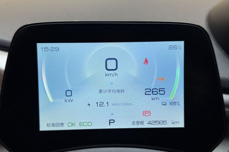 Used BYD Dolphin 2021 405 km Fashion Edition Odometer Close Up