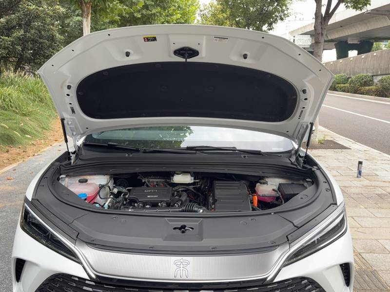 Used BYD Song L DM-i 2025 Intelligent Driving Version 112 km Leading Trim — 19