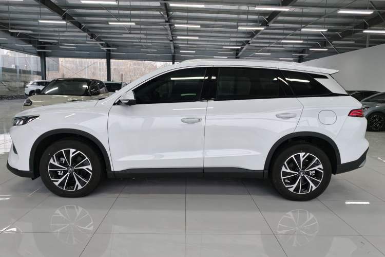 Used BYD Song Pro New Energy 2025 Second-Generation DM-i 115KM Overachiever Trim
