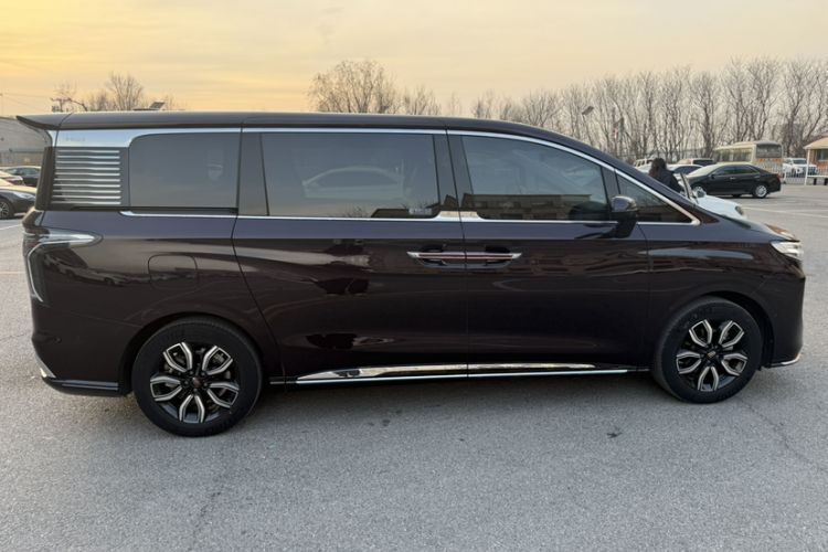 Used Hongqi HQ9 2023 2.0T Smart Connect Flagship Edition