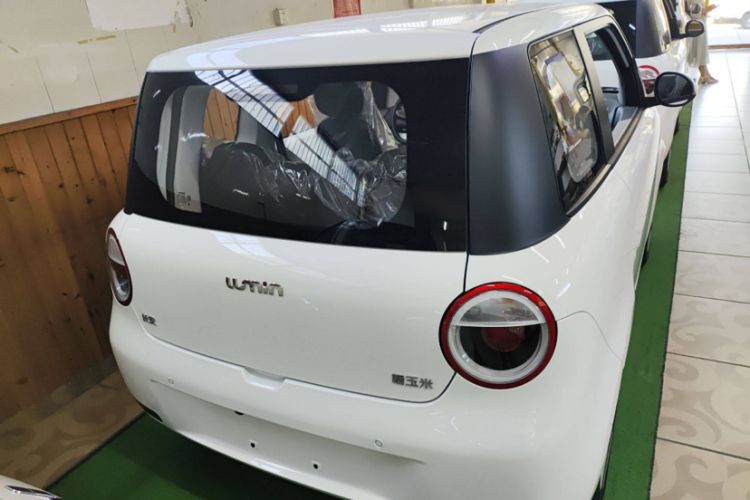 Used CHANGAN NEVO Lumin 2024 130km Qingyue Version Exterior 3