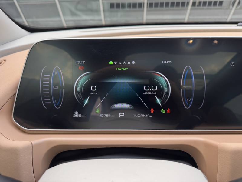 Used ORA Good Cat 2024 401 km Luxury Version — 4