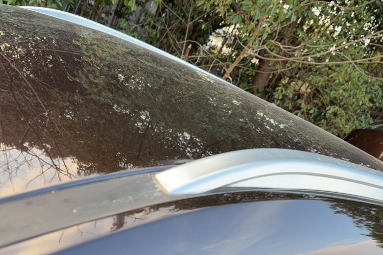 Used Renault Koleos 2018 2.0L Two-Wheel Drive Comfort Edition
