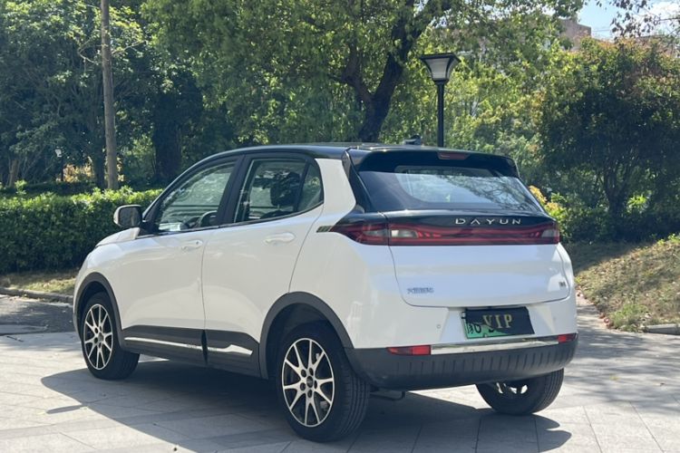 Used Dayun Yuehu 2021 Two-Wheel Drive Standard Version Exterior 4